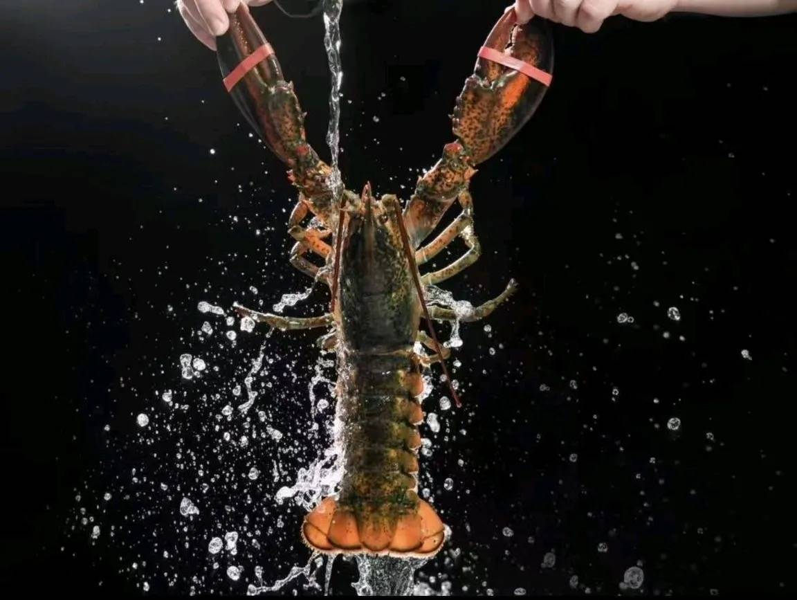 2026年 海鲜馆厂家直销推荐：鲜活现捞现做源头直供品质海鲜